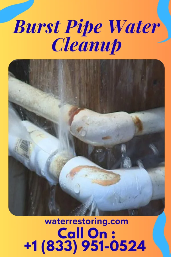 Burst Pipe Water Cleanup in Salem, OH