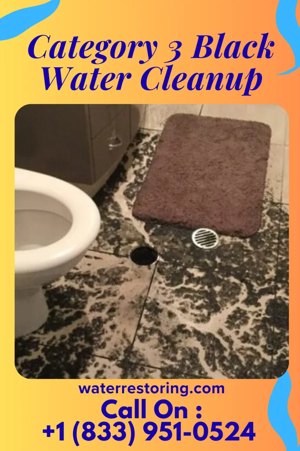Category 3 Black Water Cleanup in Salem, OH
