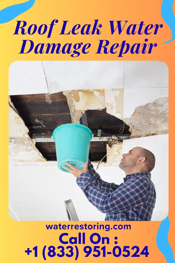 Roof Leak Water Damage Repair in Salem, OH