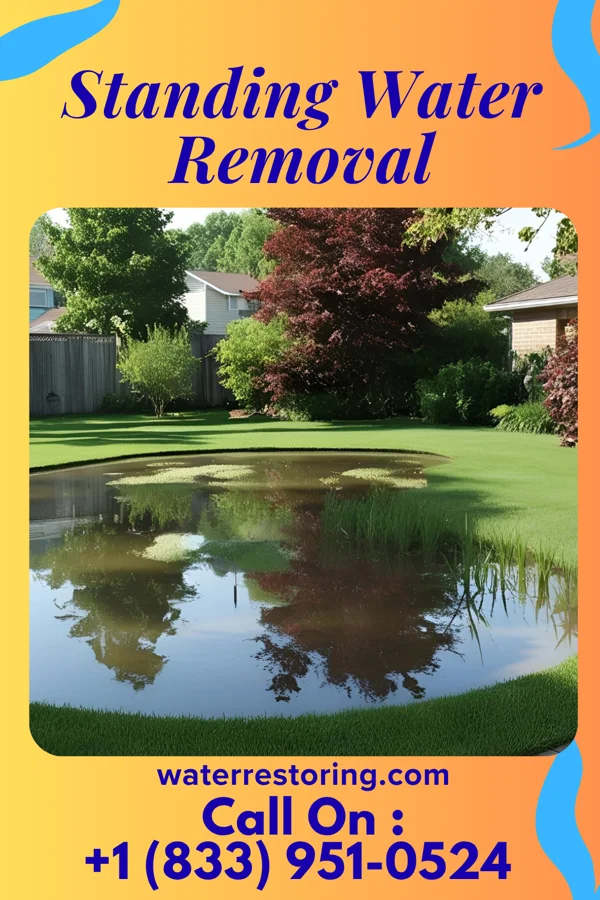 Standing Water Removal in Salem, OH
